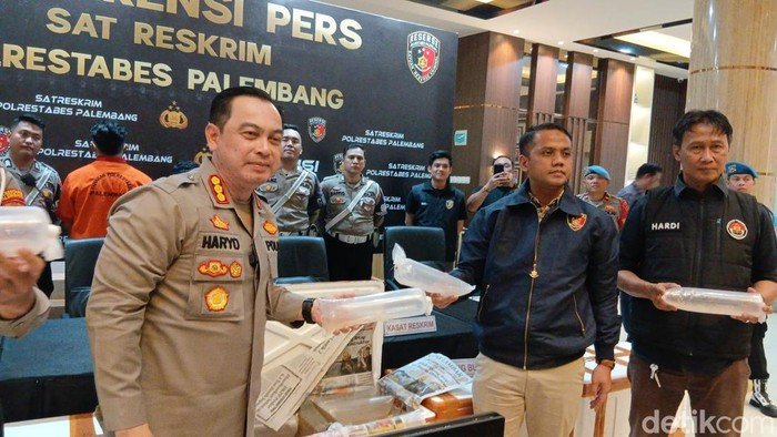 63.100 Baby Lobster yang Diamankan di Palembang Akan Dibawa ke Jambi